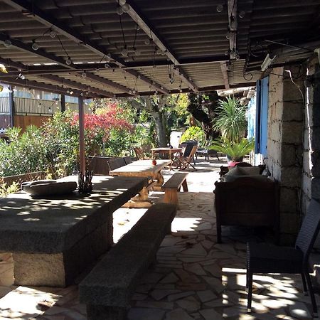 维琪奥港A Tigliola住宿加早餐旅馆 外观 照片